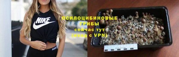 mdpv Няндома