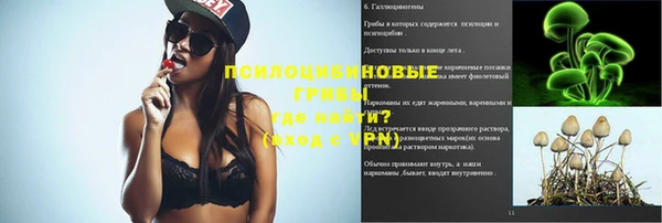 гашик Нязепетровск
