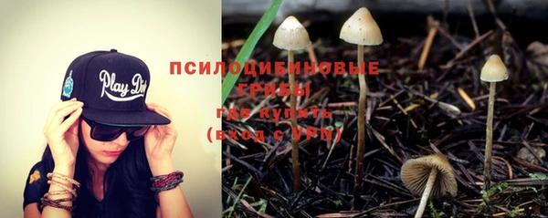 mdpv Няндома